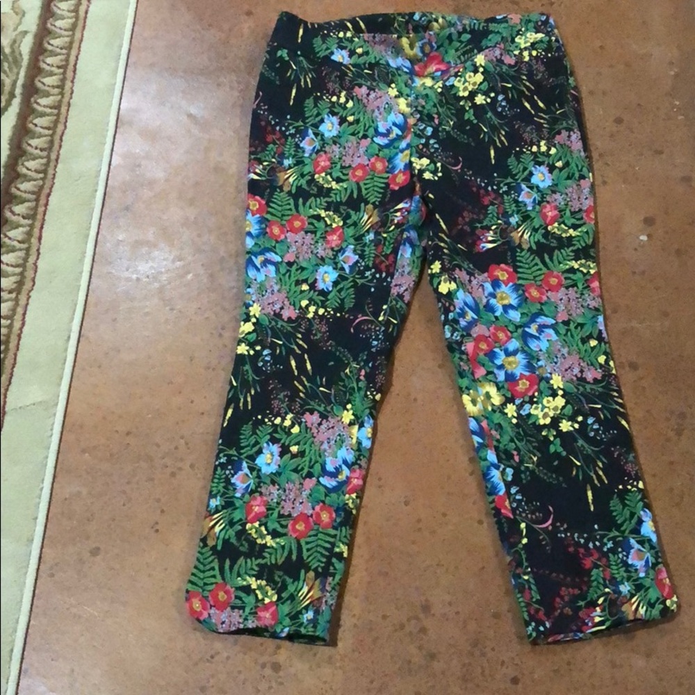 Soft Surroundings Garden Pull on Pants